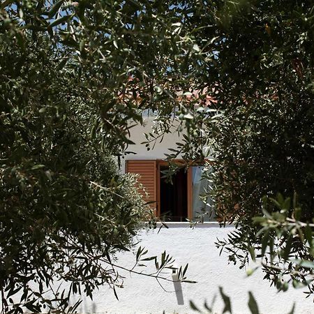 Villa Aelia Kámpos Eksteriør bilde